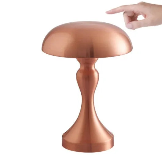 Metallic bronze USB rechargeable LED desk lamp with touch control on a wooden desk
