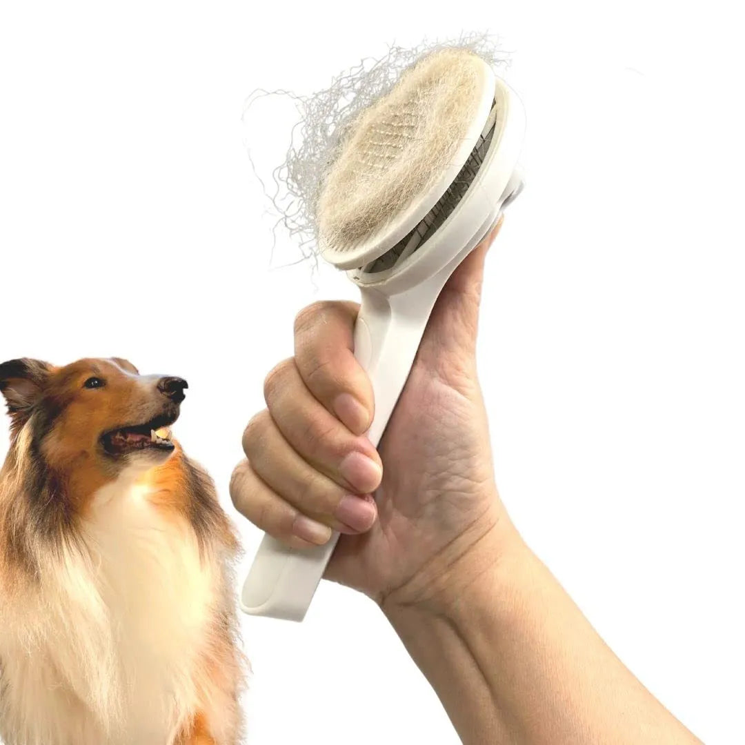 Blue self-cleaning slicker brush for dogs and cats with ergonomic rubber handle.