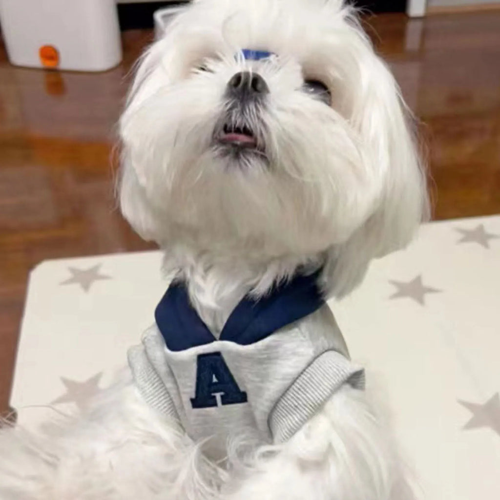 Blue and white reflective letter pet hoodie for dogs and cats in slim fit design
