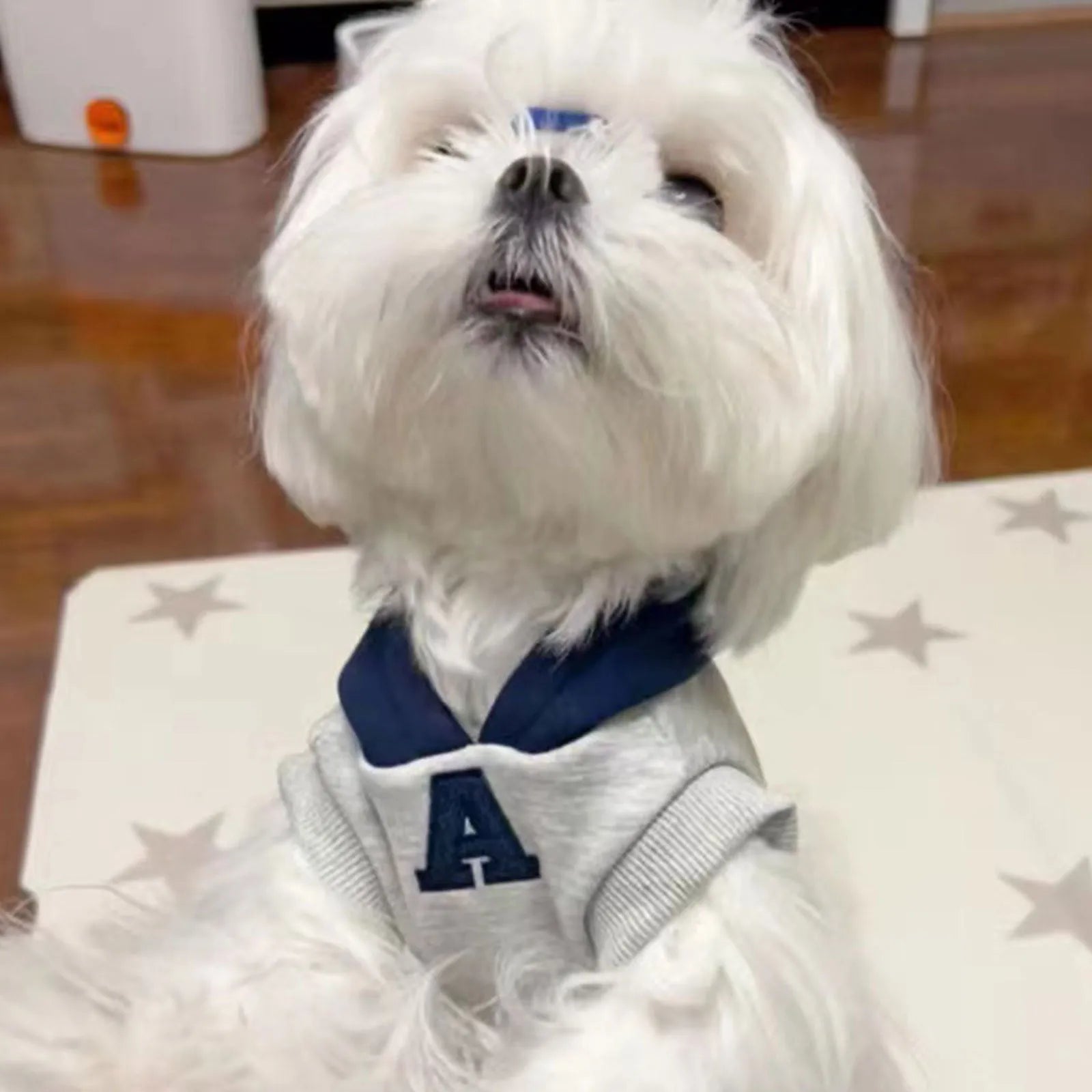 Blue and white reflective letter pet hoodie for dogs and cats in slim fit design