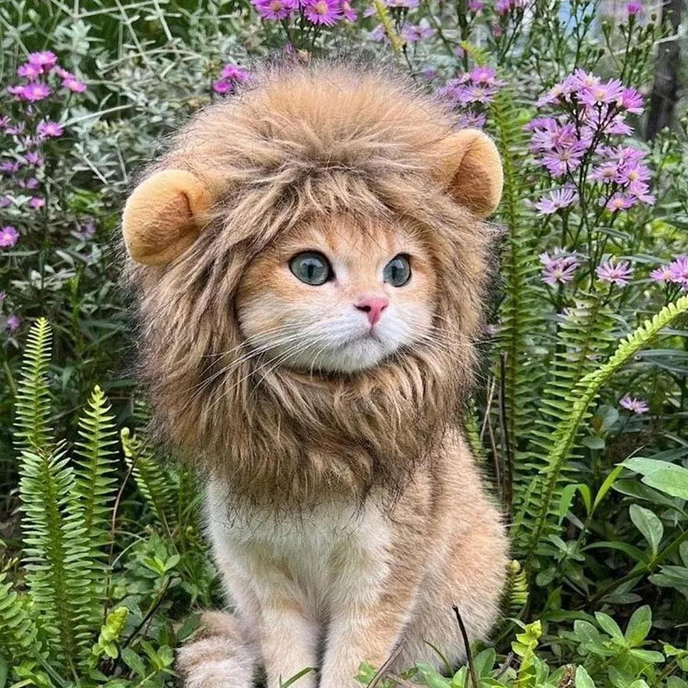 Lion mane wig accessory on cat with adjustable elastic band and fluffy artificial hair