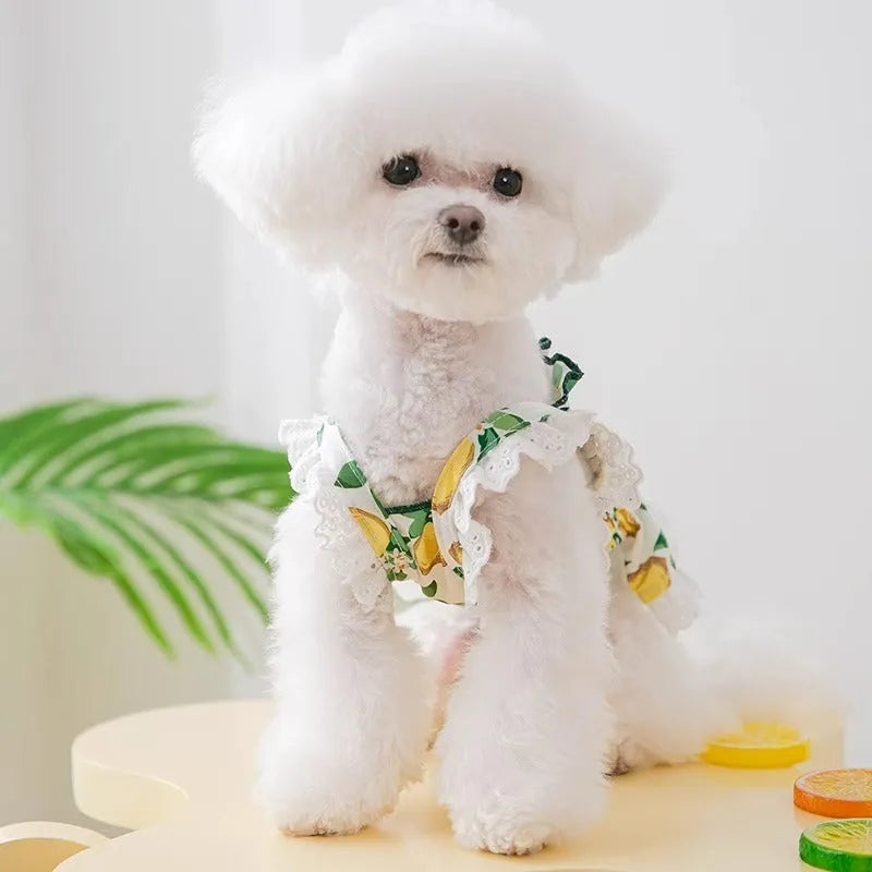 Rock yellow lemon polyester dog skirt dress with thin straps and princess style design