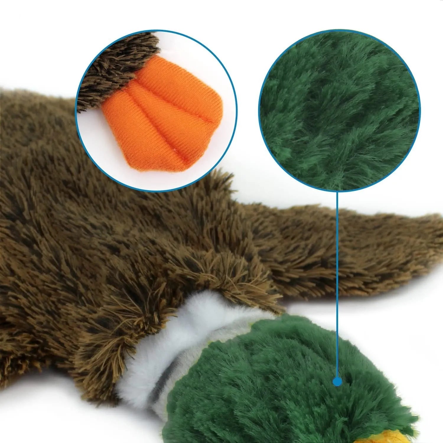 Wild Duck 2-in-1 stuffless dog toy with soft plush fabric and protected squeakers