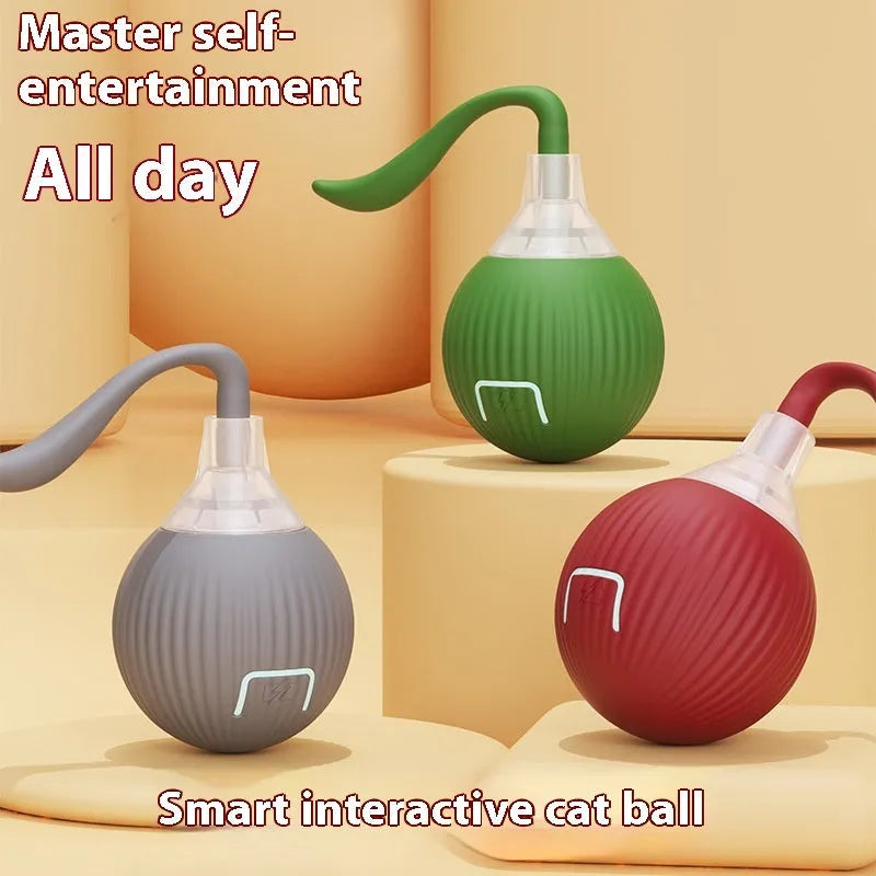 Interactive electronic cat toy ball with coloured lights on a carpet, showing Magic Tail and With Rope style variants.