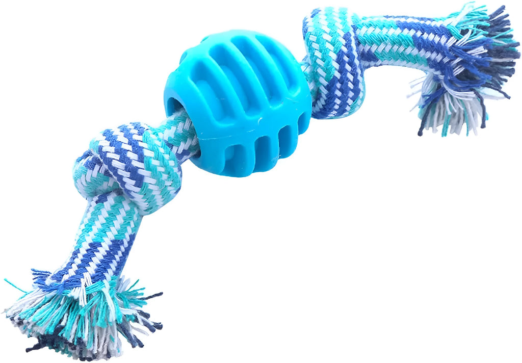Blue molar-shaped dog chew toy with a white rope threaded through the centre.