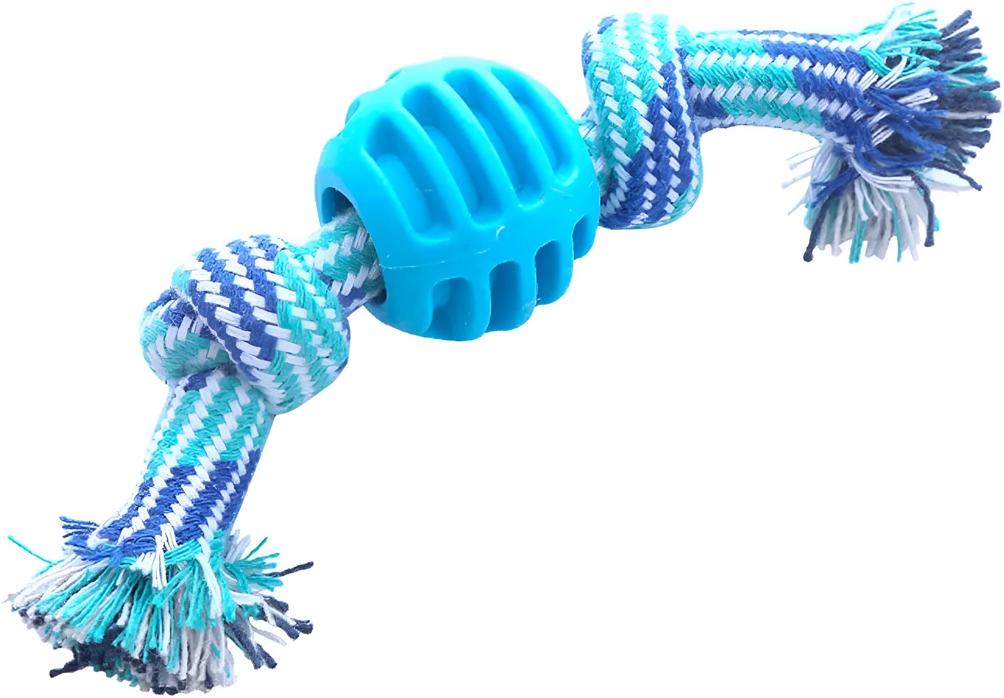 Blue molar-shaped dog chew toy with a white rope threaded through the centre.