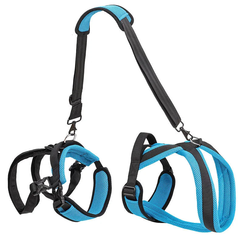 Blue polyester dog auxiliary strap hand-holding walking lead