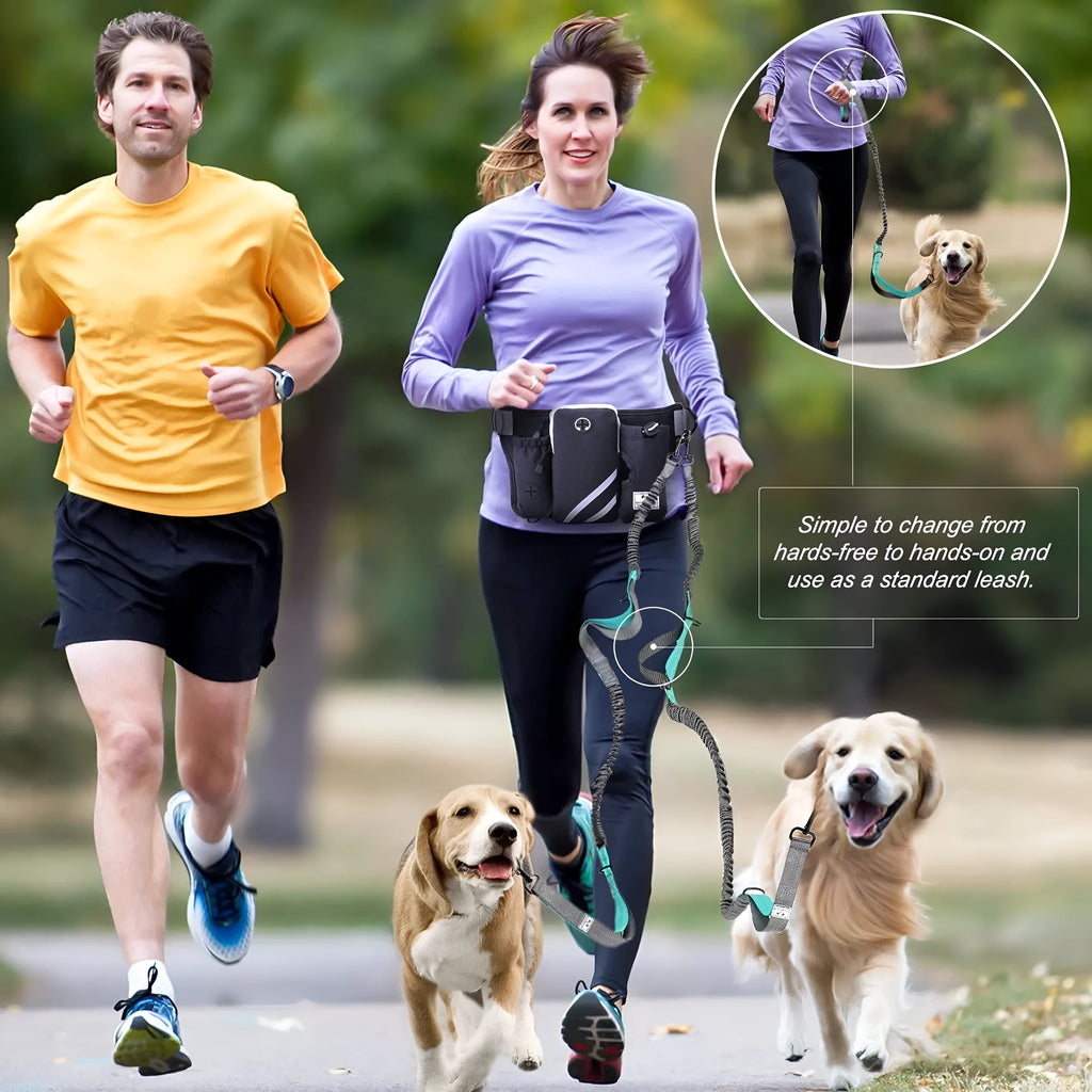 Black nylon dog walking waist bag with matching leash and collar set for outdoor training
