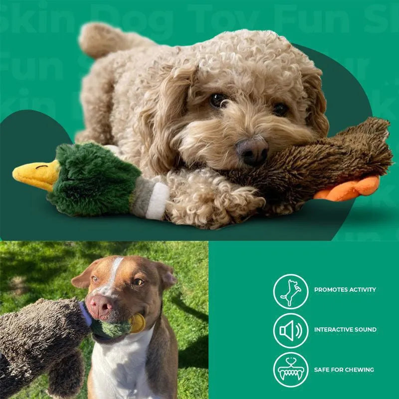Wild Duck 2-in-1 stuffless dog toy with soft plush fabric and protected squeakers
