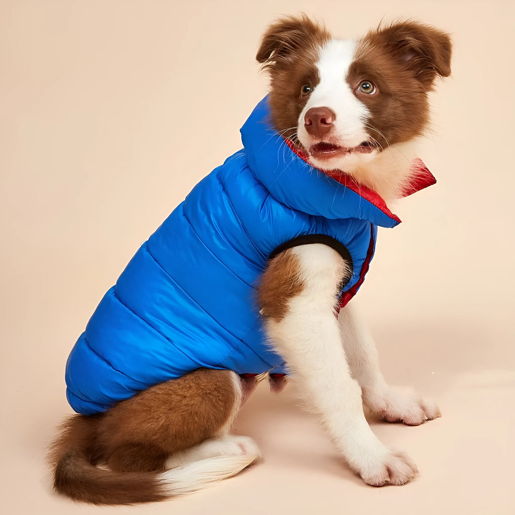 Winter down cotton dog clothes in brown beige with nylon shell
