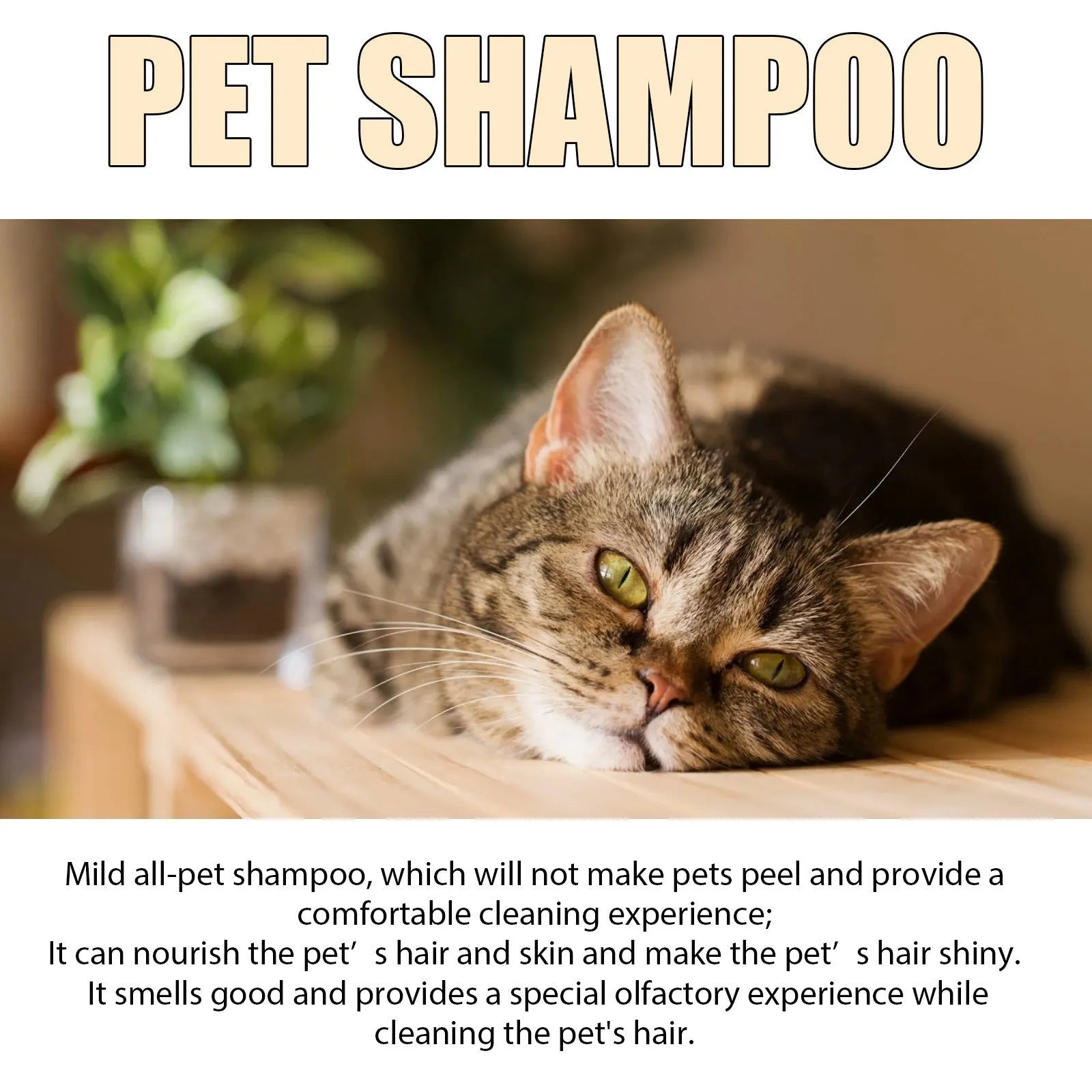 Bottle of mild dog shampoo for soft, tangle-free hair in 100ml and 300ml sizes