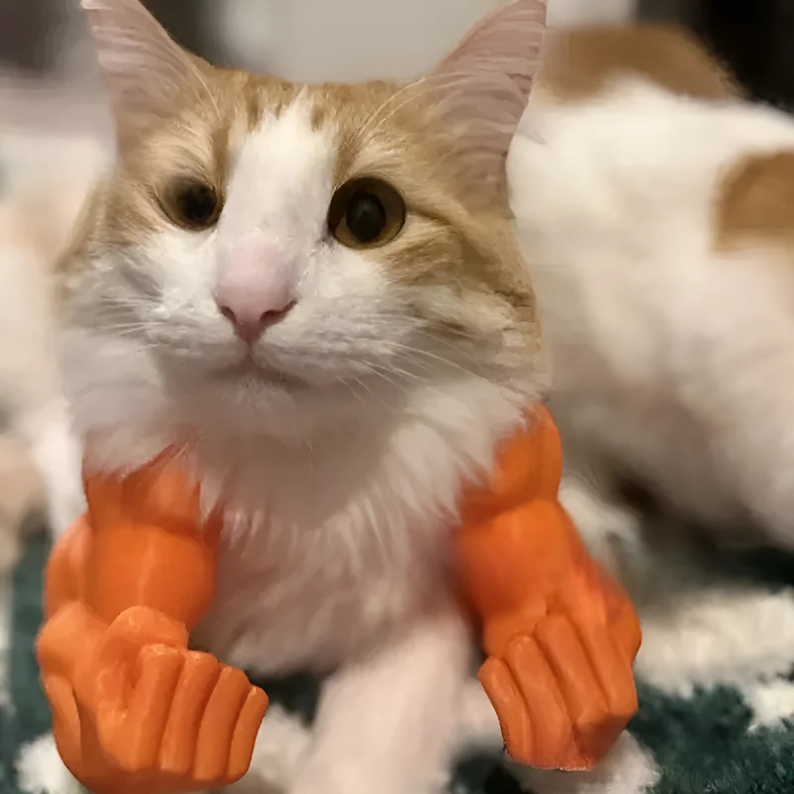 Funny muscle hand cat hanging toy in plastic, available in black colour