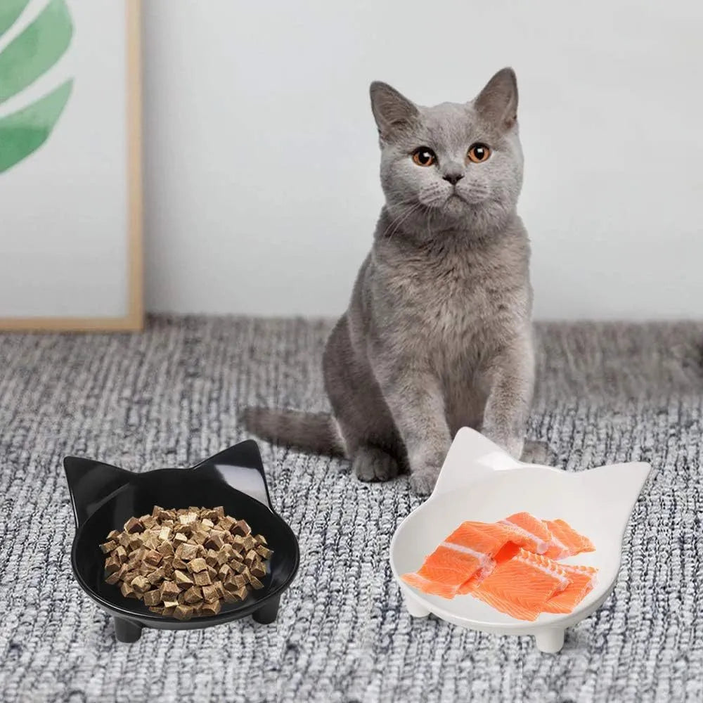 Shallow white melamine cat bowl with non-slip rubber base on a floor