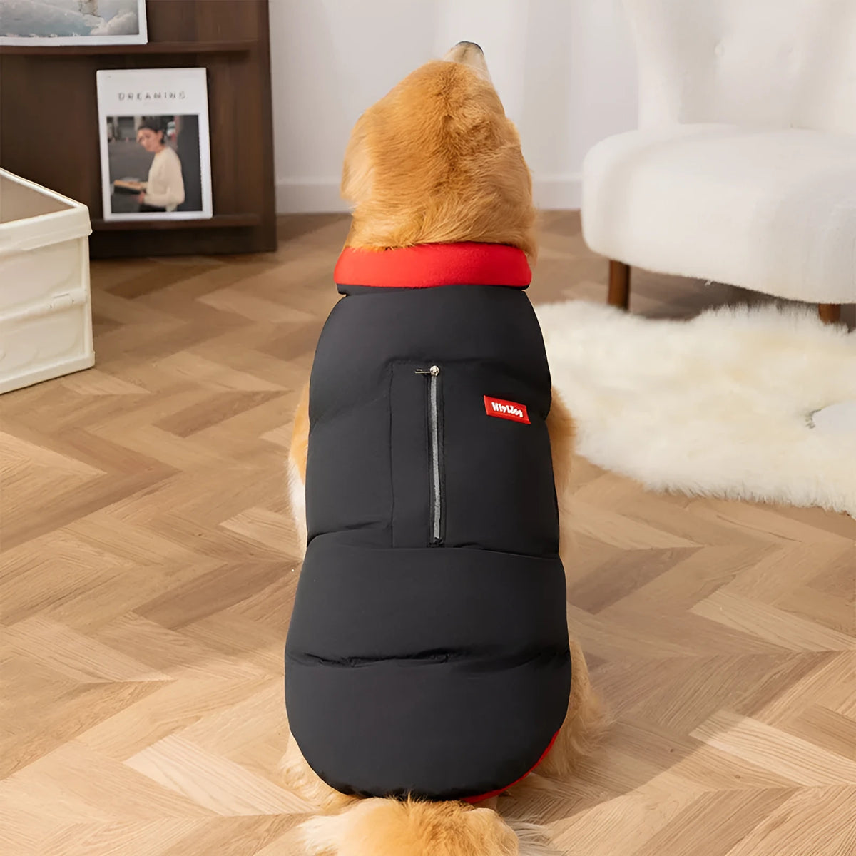 Large dog winter vest thick quilted cotton padded black or white sizes 3XL to 8XL with zipper pocket