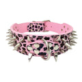 5cm black leather dog collar with black spikes and rivet hardware, adjustable large dog collar