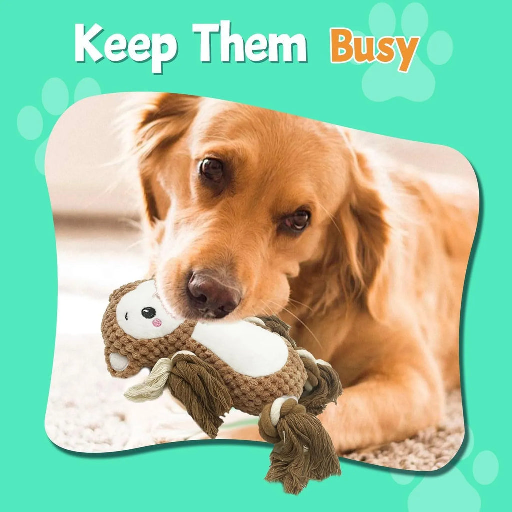 Squeaky monkey plush toy and lion plush dog toy bundle on a white background.