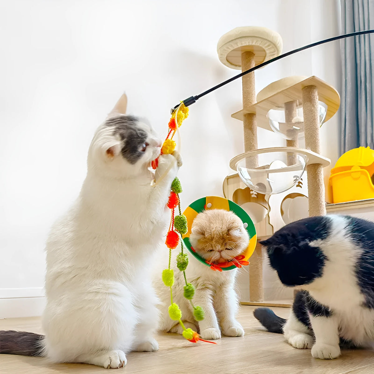 Bite resistant cat teasing stick with plastic wand and knot and wool teaser in orange, blue or pink