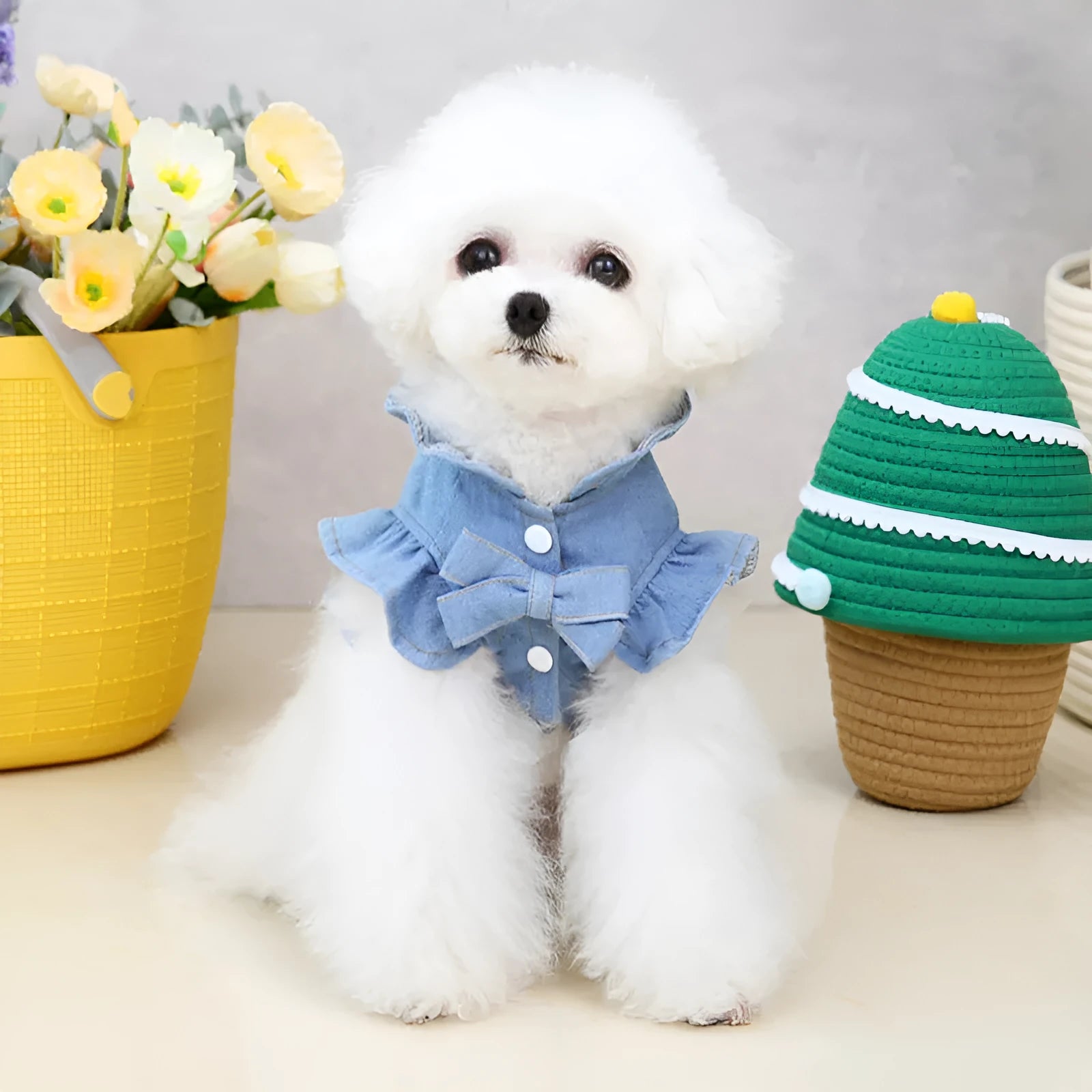 Blue denim dog dress with ruffles and a metal leash hook on the chest, shown on a small dog