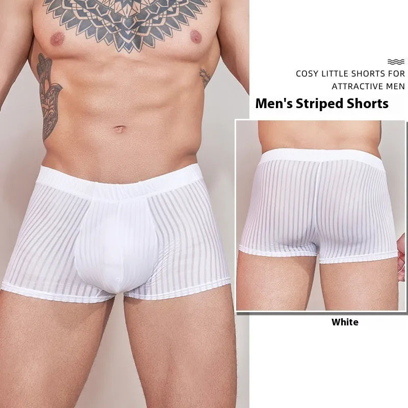 Men's striped underwear in thin transparent nylon fabric showing elastic waistband