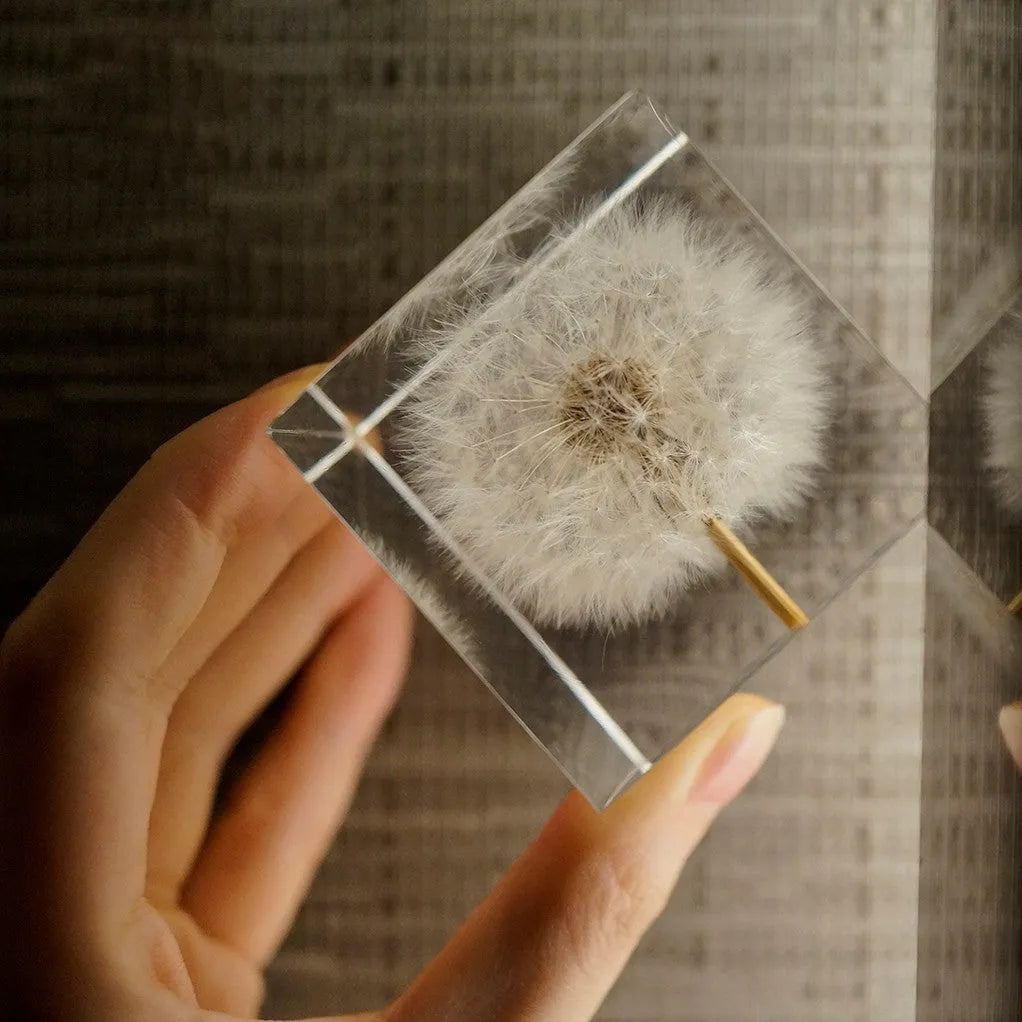 Clear 5cm resin cube with real dandelion inside on wooden box next to USB charging base.