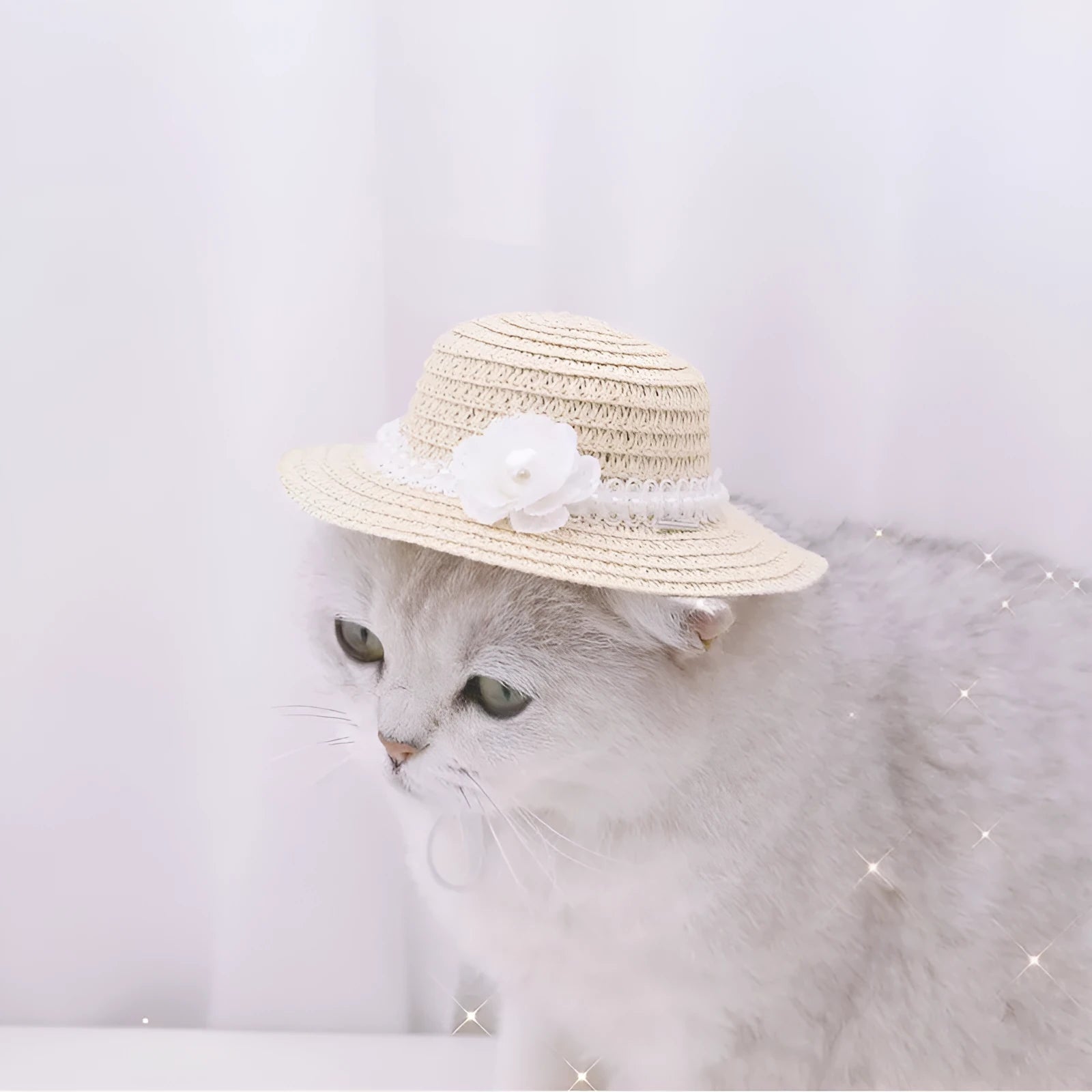 Handmade adjustable bow knot pet hat for dogs and cats in cartoon style showing colour options