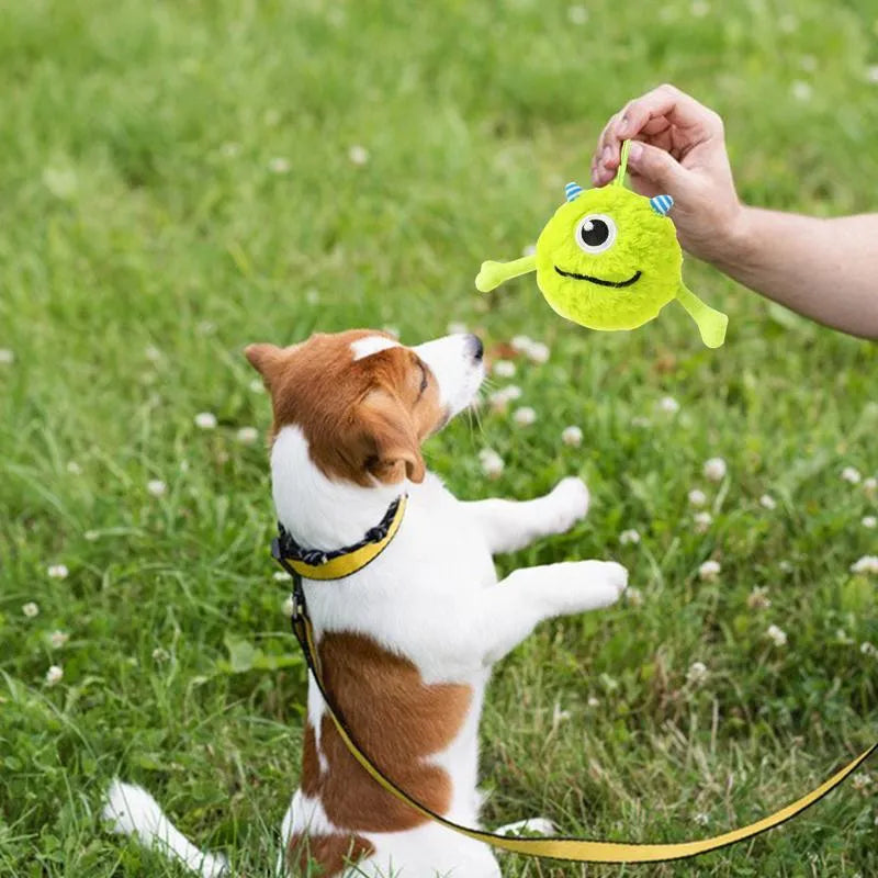 Green plush and TPR puppy teething ball with squeaker, 12 cm diameter