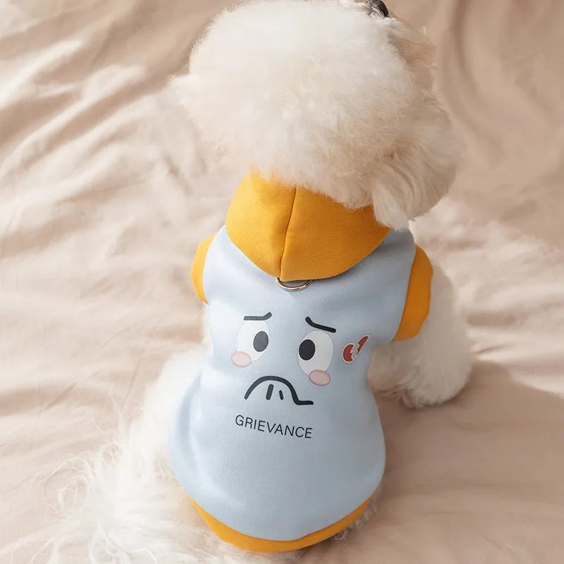 Cute cartoon bear dog hoodie in blue on small teddy bear pet for autumn winter