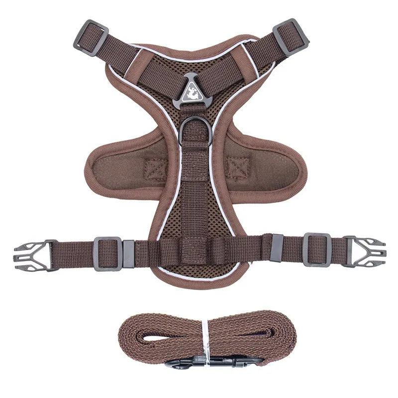 Anti-breakaway cat harness set with 1.5m flat rope lead and silver chain in green, grey, and rose red colours