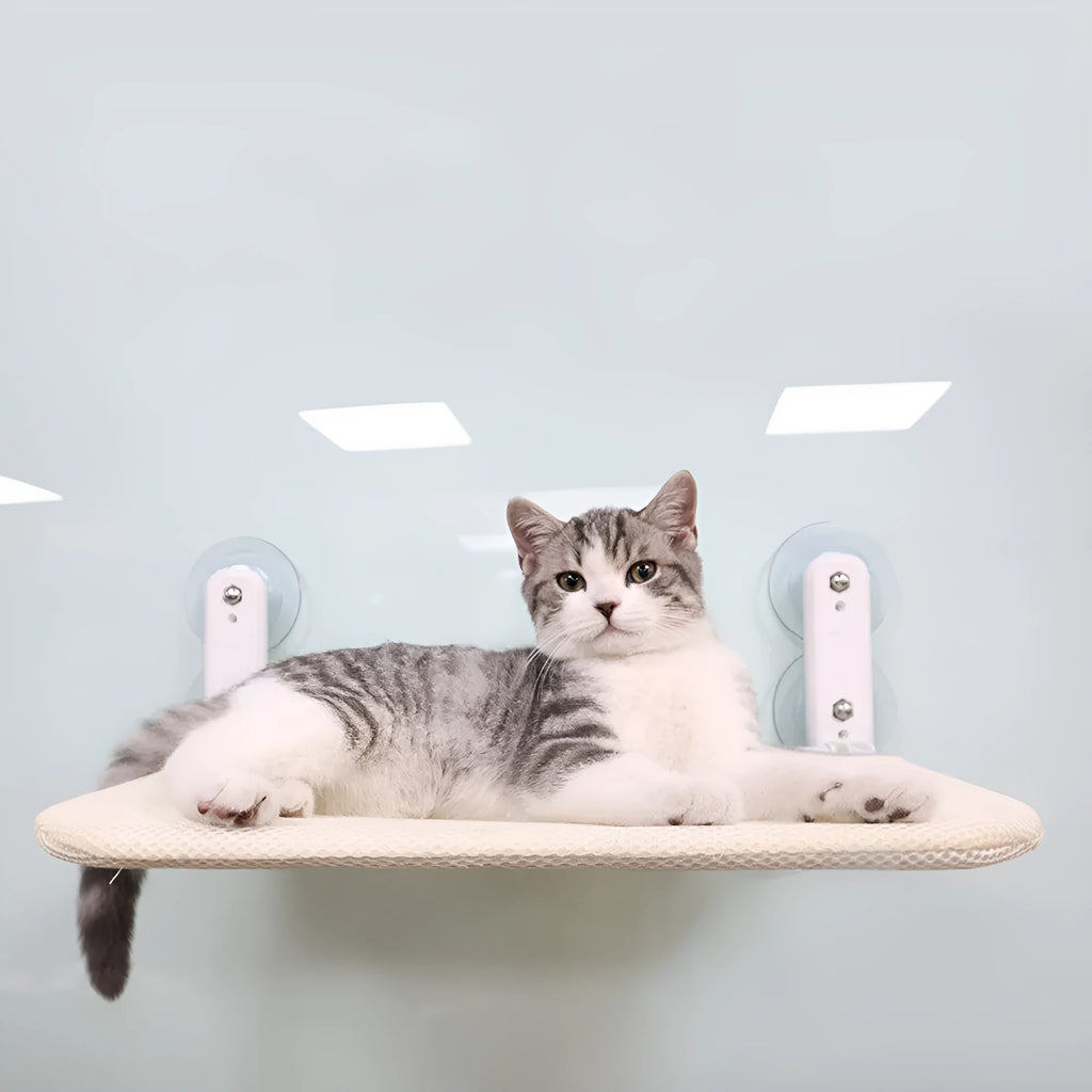 Stainless steel foldable cat window hammock with suction cups and a grey plush cushion attached to a glass pane.