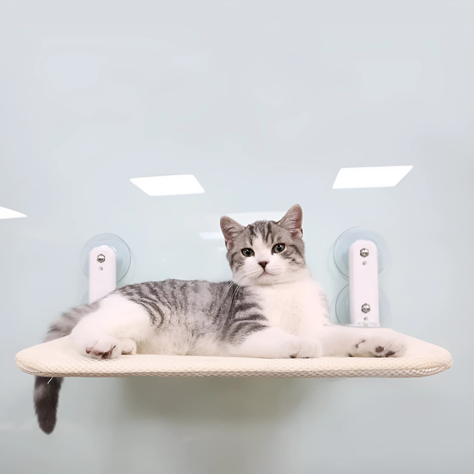 Stainless steel foldable cat window hammock with suction cups and a grey plush cushion attached to a glass pane.