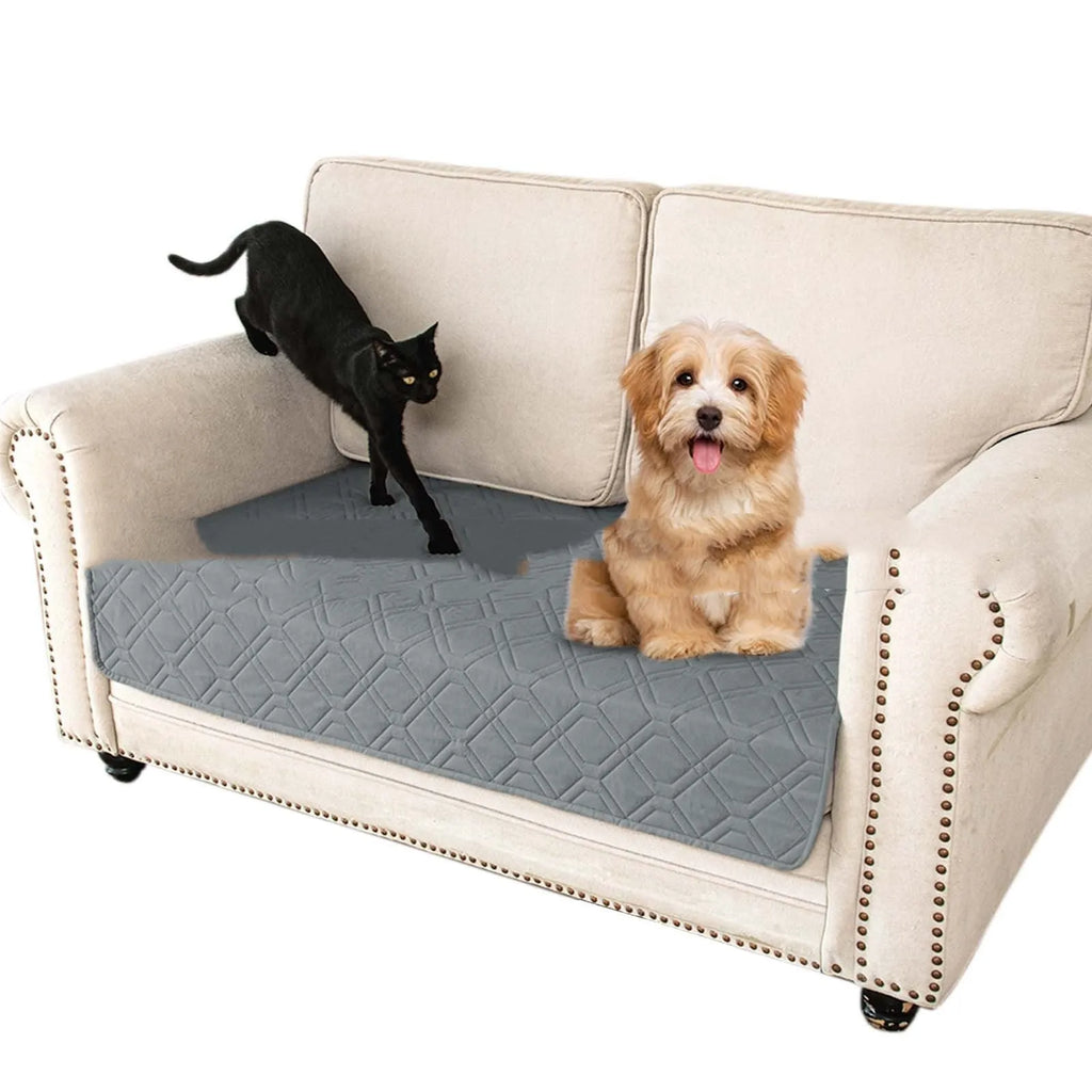 Double-sided waterproof pet sofa cushion shown in dark grey and khaki colour options on a sofa.