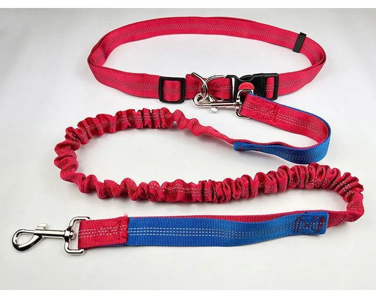 Grey and green two-tone nylon dog leash with reflective strip, showing 2.5cm width and clip.