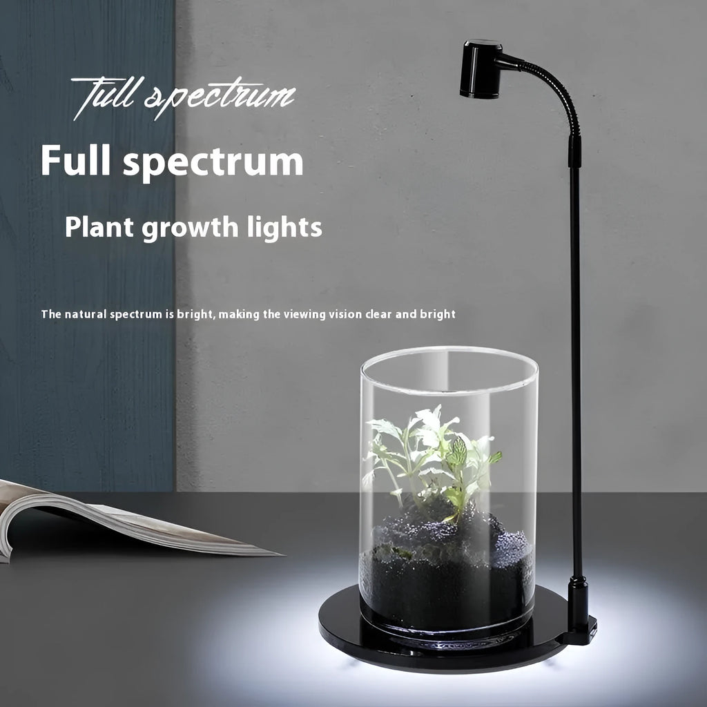 LED moss plant acrylic fish tank USB lamp with copper body and round or square base in white light