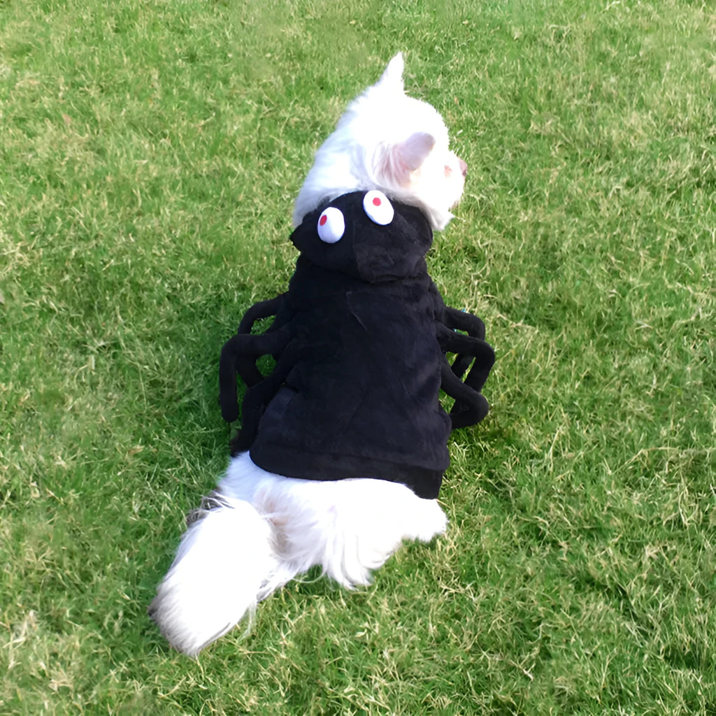 Spider pattern Halloween costume for a dog, shown in size small, medium, or large.