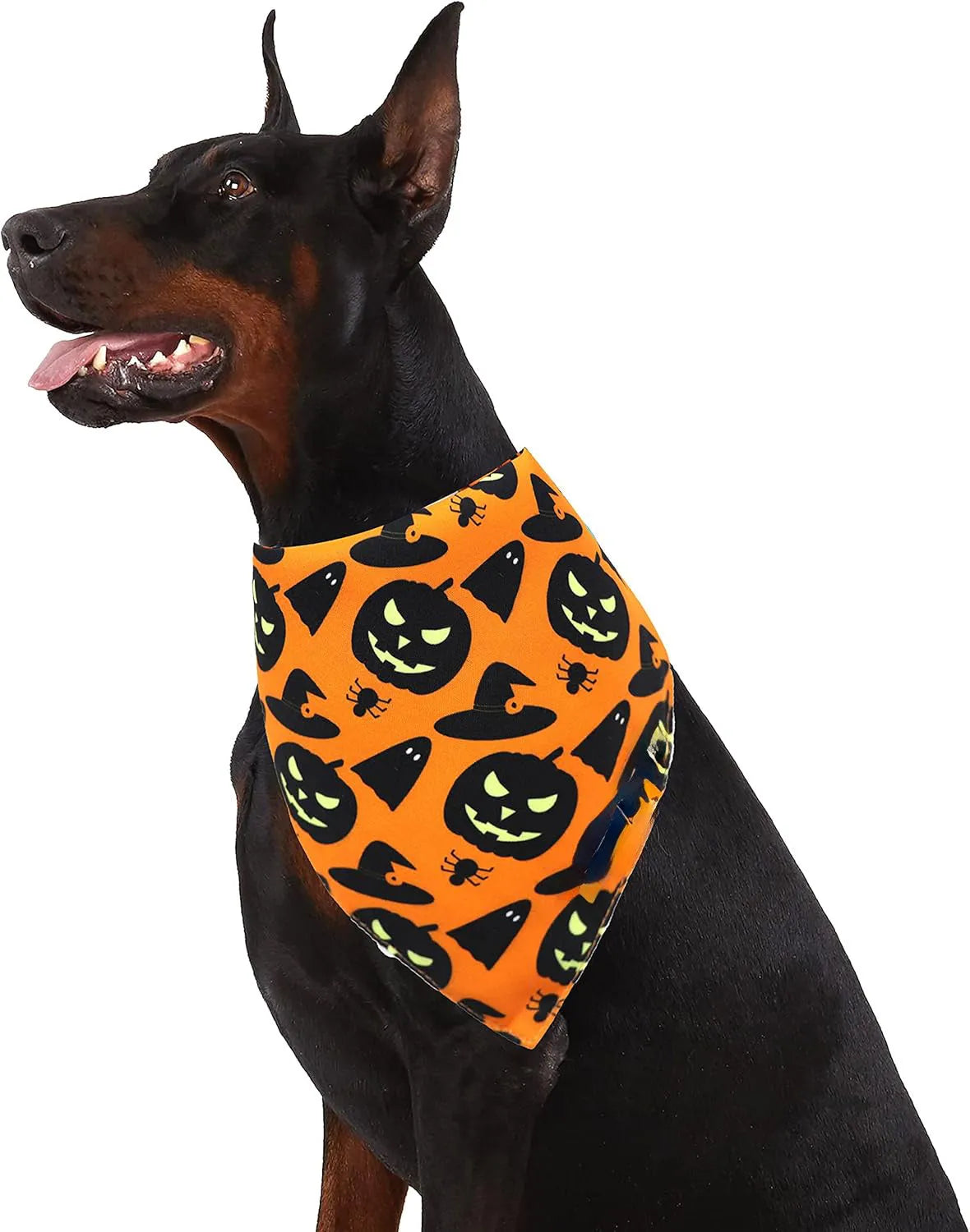 Reversible Halloween dog bandana with pumpkin and spider web patterns in black and orange