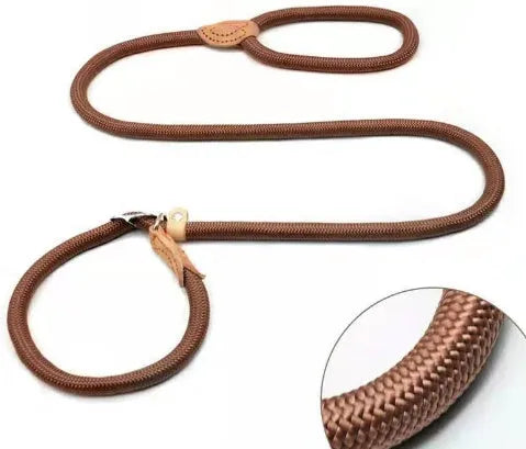 Brown nylon dog leash with P-chain hand holding rope showing 2.1 metre length