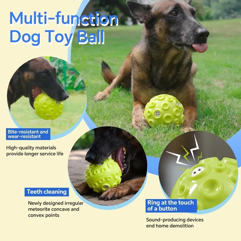 Durable elastic rubber dog toy ball in assorted colours with a textured surface for teeth cleaning.