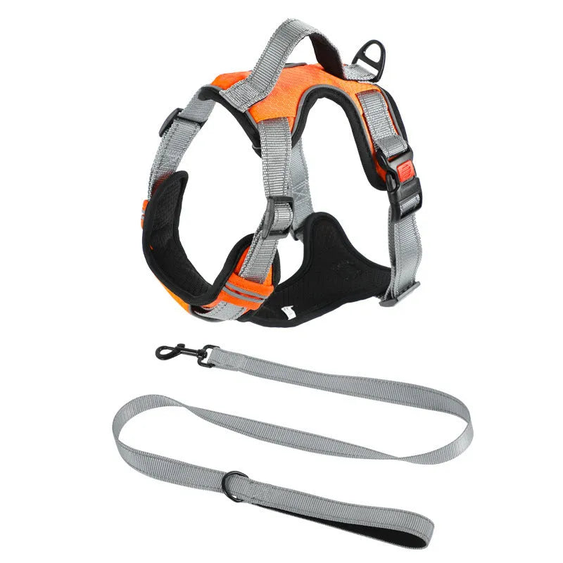 Orange adjustable dog chest strap vest harness with an integrated hand holding rope.