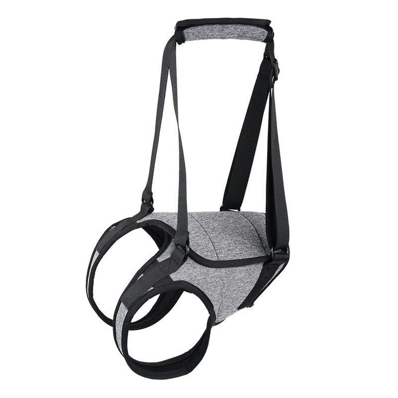 Grey neoprene dog rear leg recovery belt showing adjustable sizing for canine injury rehabilitation support