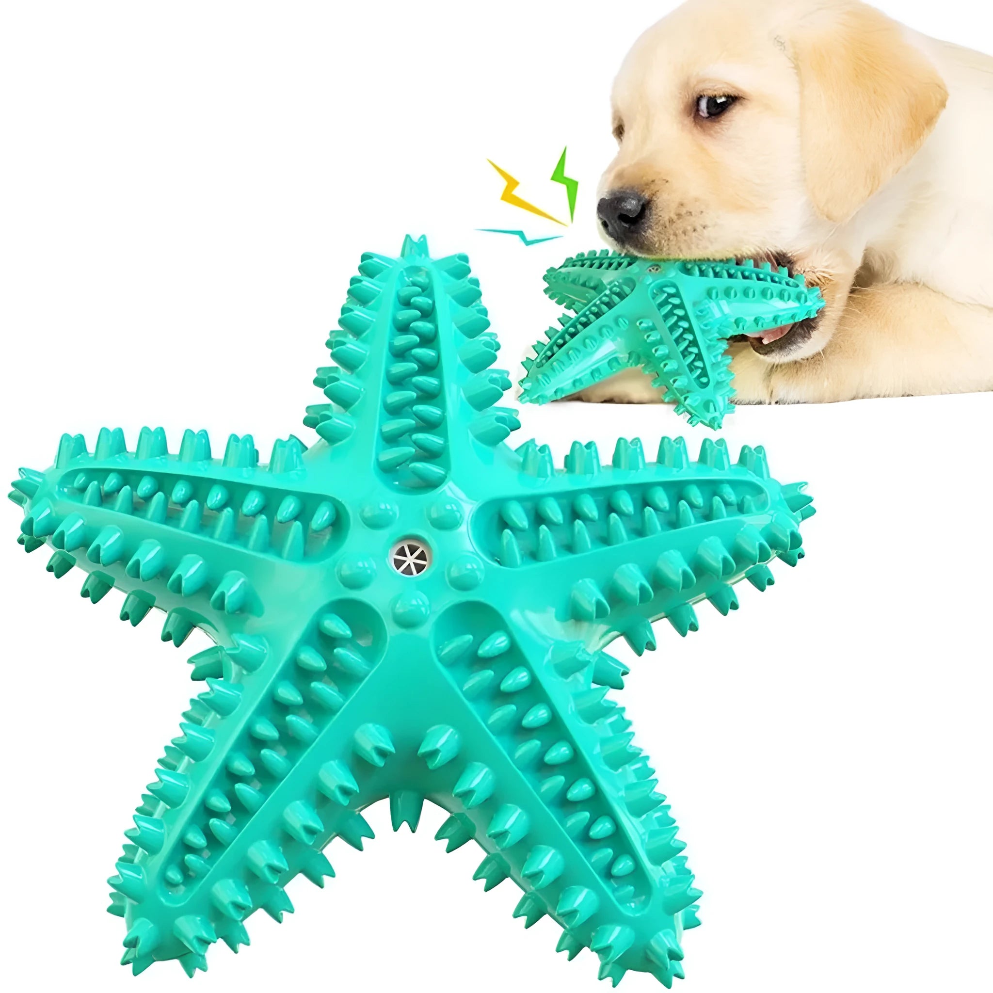 Edible TPR starfish dog toy for large breeds in blue green yellow colours with squeaker