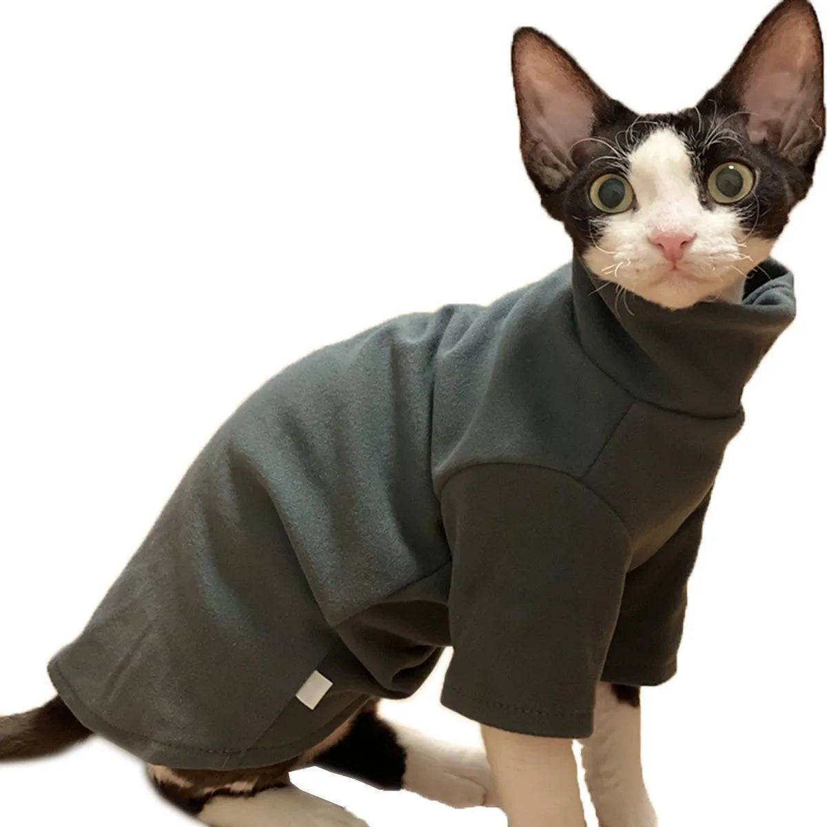 Dralon self-heating hairless cat hoodie in black or green polyester fibre