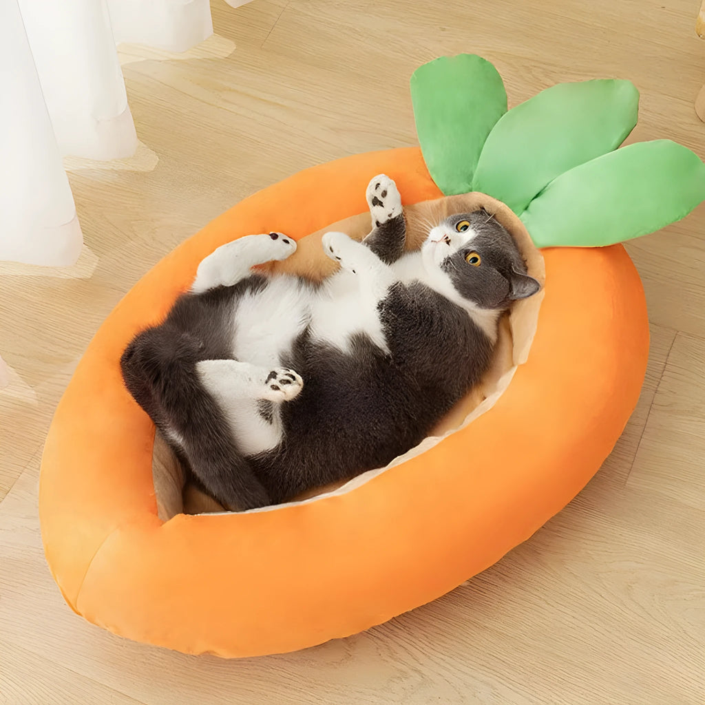 Cartoon carrot design pet mattress with removable cover for dogs