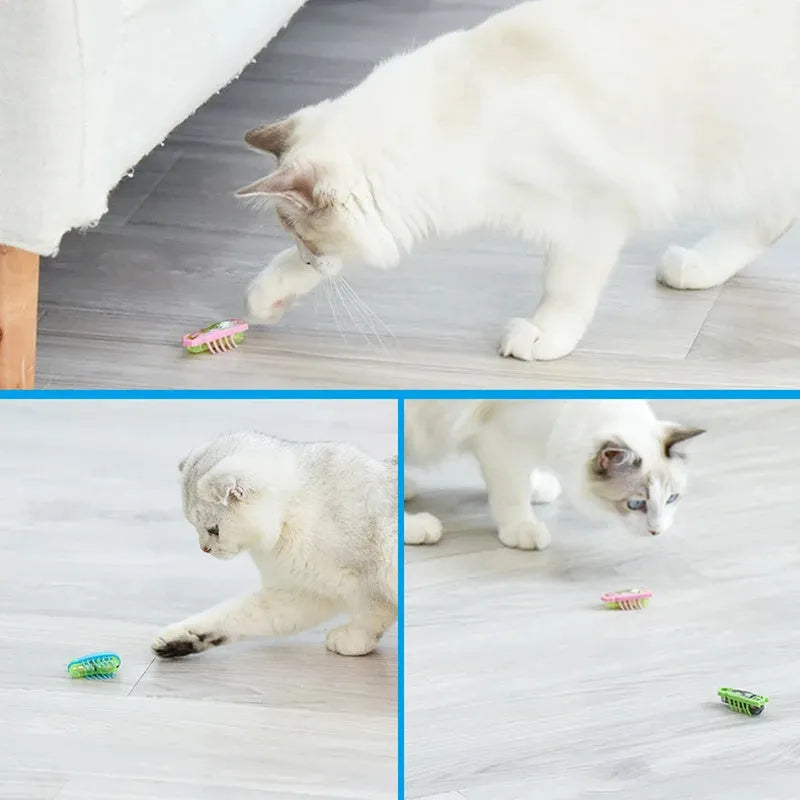Mini electric bug cat toy with self-righting action showing 4.5cm pvc construction