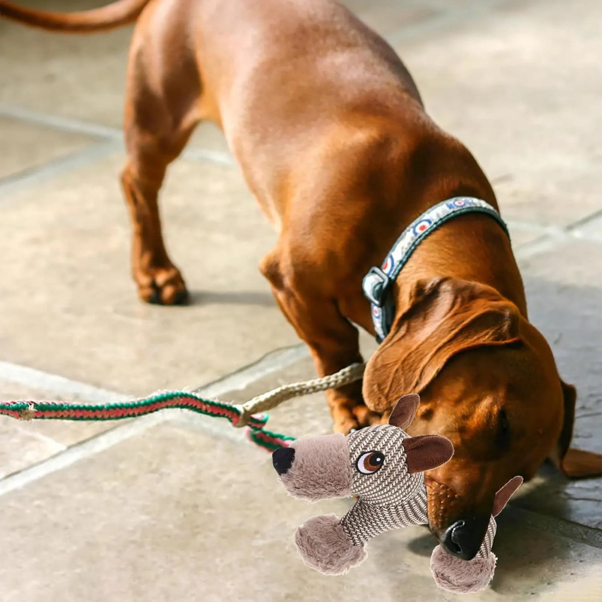 Plush squeaky dog toy for medium and large dogs, available in Monkey or Puppy design.