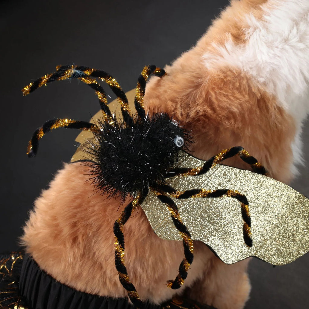 A dog wearing a classic black and white suit-style Halloween costume, showing the full-body design.