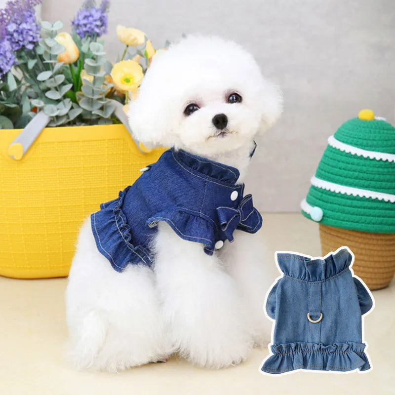 Blue denim dog dress with ruffles and a metal leash hook on the chest, shown on a small dog