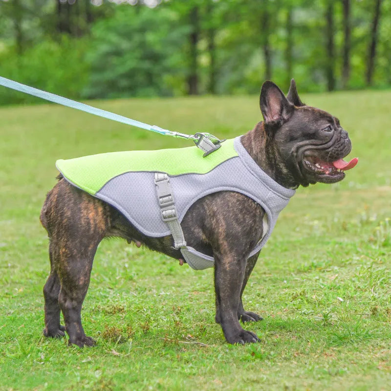 Dog wearing orange cooling vest with heat reflective outer layer and UV protection, designed for outdoor walks in summer