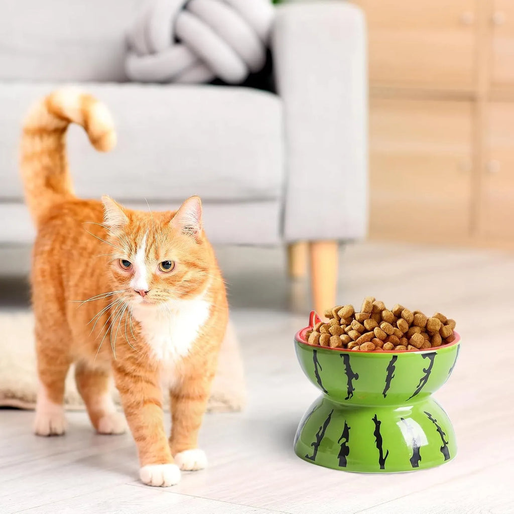 Ceramic raised cat bowl in orange pattern, showing tilted wide dish on non-slip base.