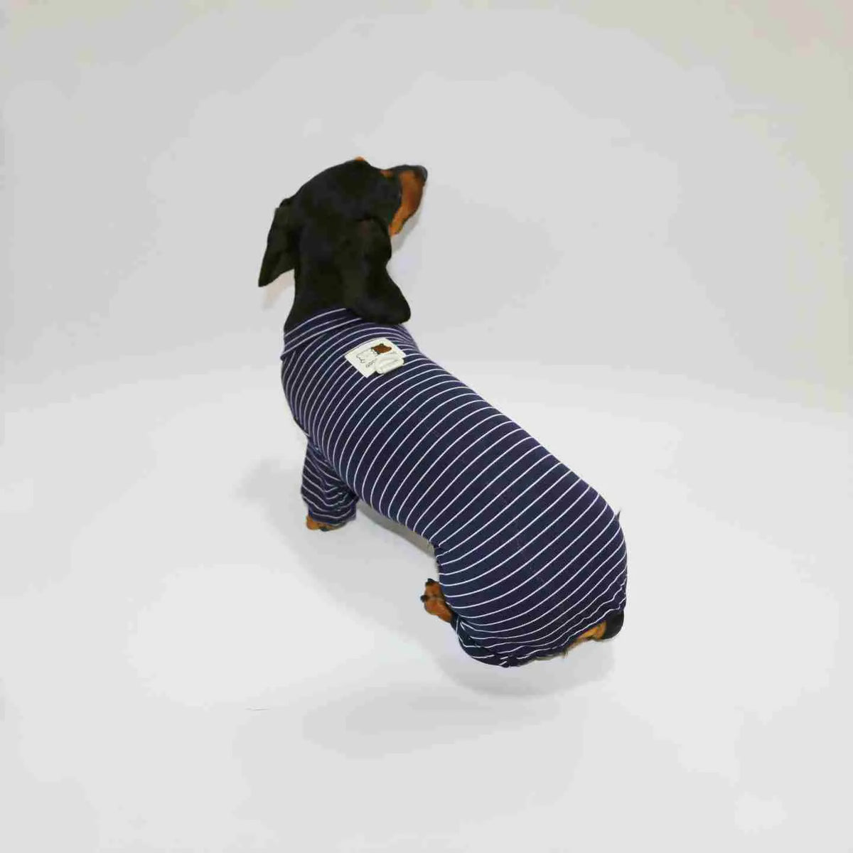 Thin striped four-legged pet clothes in white with black stripes or navy blue, sizes S to XXL