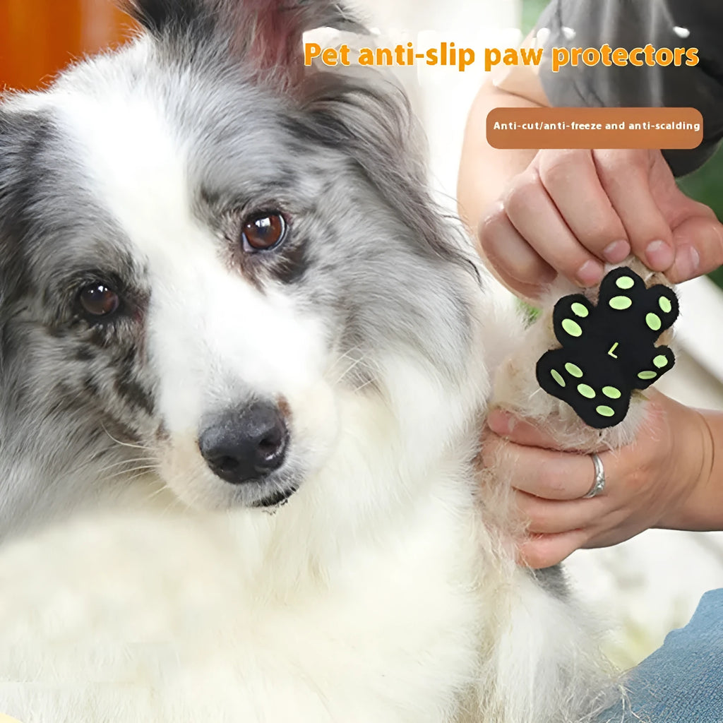 Pack of eight soft silicone invisible claw protection pads for dogs, shown in small or medium size.